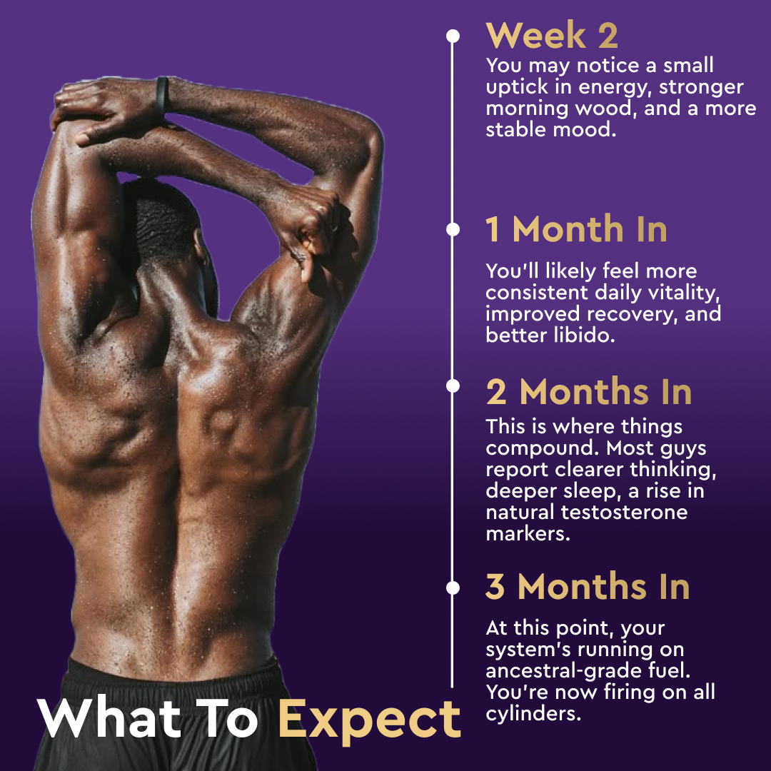 What to expect: week 2 energy uptick, 1 month in consistent vitality, 2 months compounding results, 3 months firing on all cylinders